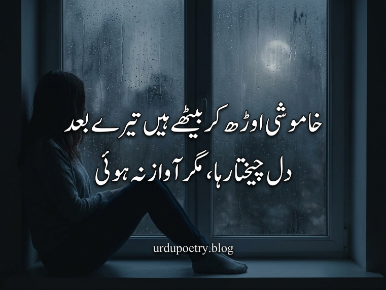 Khamoshi orh kar baithe hain tere baad
Dil cheekhta raha, magar awaaz na hui